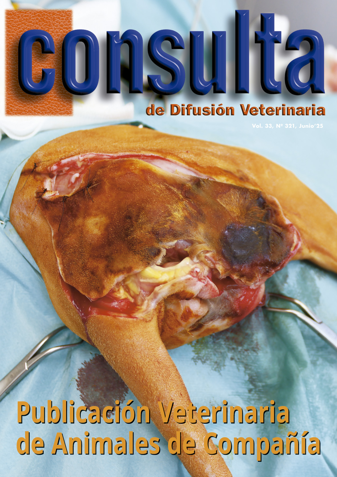 Nº 321