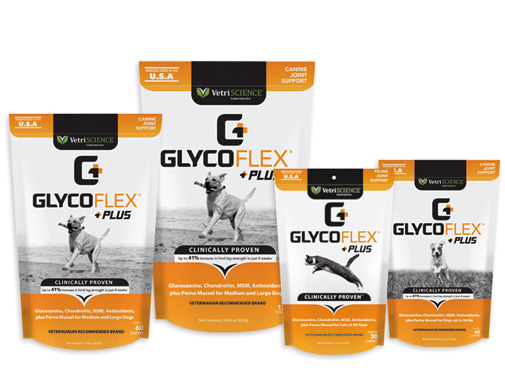 Glyco-Flex® Plus