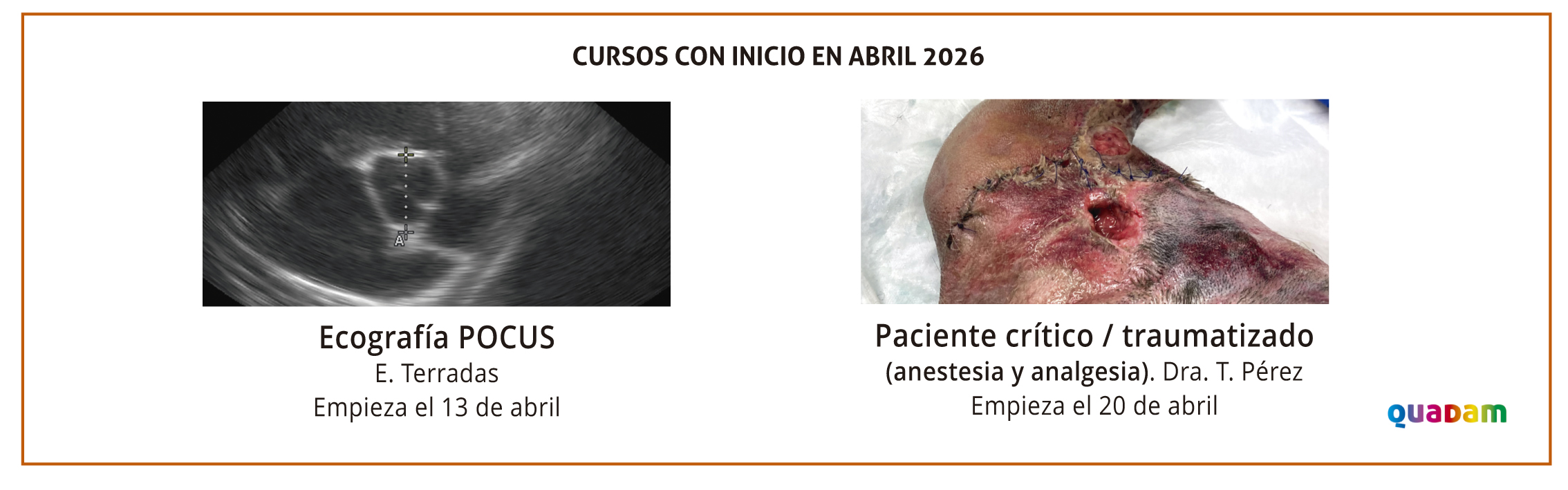 Revista Consulta de Difusión Veterinaria