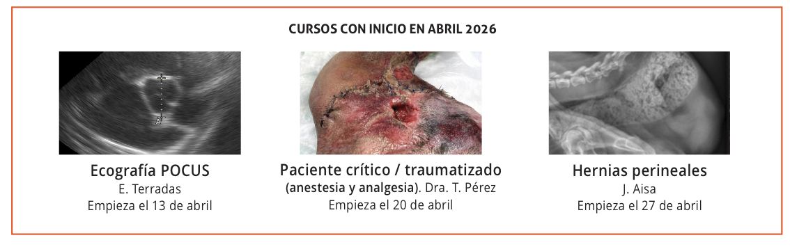 Revista Consulta de Difusión Veterinaria