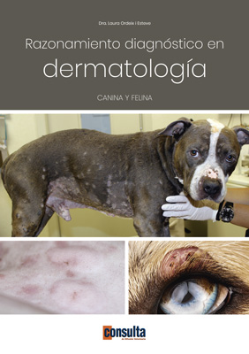 Diagnostico dermatologico perro gato