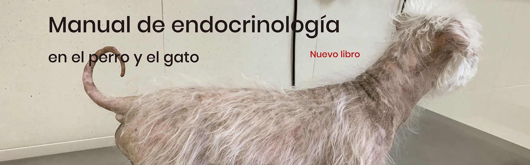 Revista Consulta de Difusión Veterinaria Revista Consulta de Difusión Veterinaria