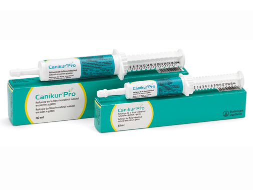 Canikur ® Pro Gatos