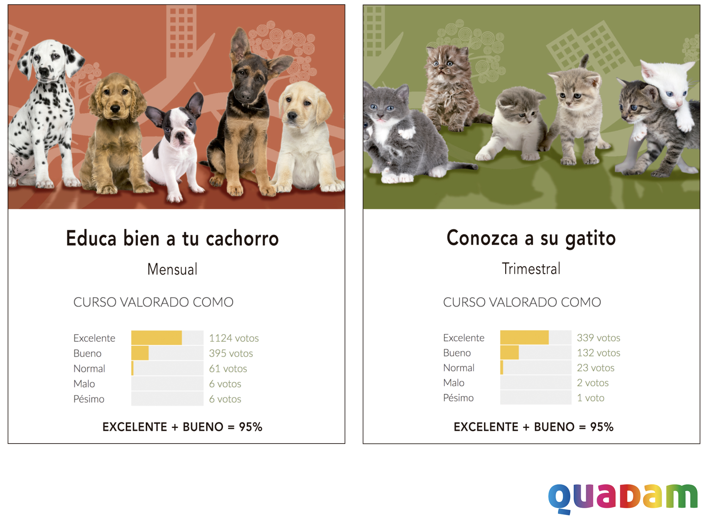 Cursos Quadam para propietarios