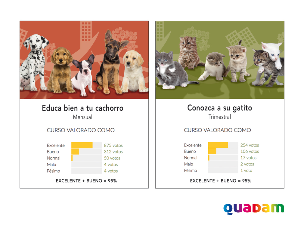 Cursos de cachorros y gatitos de Quadam