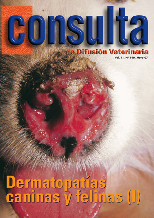 Nº 140