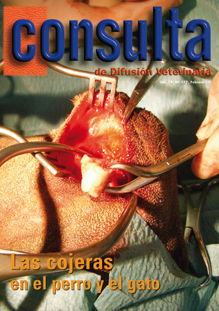 Nº 177
